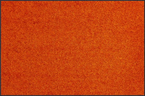 Fußmatte nach Maß Trend Colour Burnt Orange, Wash & Dry Qualität, Draufsicht