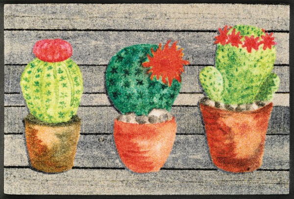 Jardin de Cactus Fußmatte, Design für Garten und Terrasse, 50 x 75 cm, Draufsicht